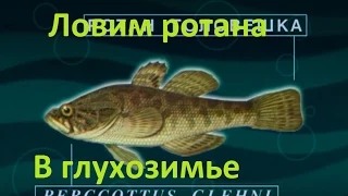Диалоги о рыбалке -124- Ловим ротана в глухозимье.