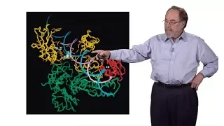 David Baltimore (Caltech): Introduction to Viruses and Discovering Reverse Transcriptase