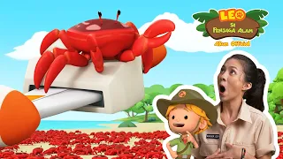 Kepiting Merah Pulau Natal 🦀 | Leo Si Penjaga Alam | #minisode
