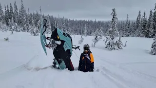 SKOGSÅKNING I STORUMAN 2024