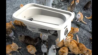 Автоматический кошачий туалет. Настройка врезной модели туалета.