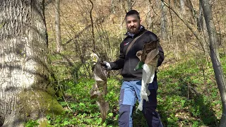 Толока чистоти у Надвірній. Нашій толоці 15 років!