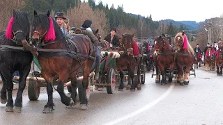 Parada cailor Moldovița - Bucovina 26 Decembrie 2023