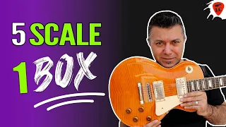 5 Scale Indispensabili Per Chitarra in 1 Solo Box