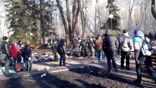 Тітушня в Маріїнському парку 18 лютого 2014.