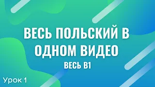 Весь польский в одном видео. Весь B1. Часть 1. Польские диалоги. Польский с нуля. Польский язык.