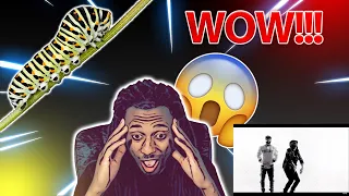 ROYCE DA 5'9 FT EMINEM - CATERPILLAR [ REACTION ] LYRICAL METAMORPHOSIS