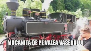 MOCANITA DE PE VALEA VASERULUI 2023