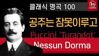 🔴[클래식명곡 100] 푸치니 '투란도트' 중 "공주는 잠 못 이루고" Puccini Opera Turandot "Nessun Dorma" 일미터클래식