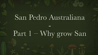 San Pedro Australiana – Part 1 – Why grow San Pedro?