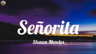 Señorita - Shawn Mendes (Lyrics) Christina Perri, Clean Bandit, Sia,.. Mix