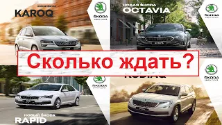 Škoda и Volkswagen СКОЛЬКО ЖДАТЬ? Информация от дилера.