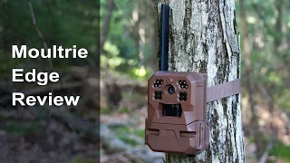 Moultrie Mobile Edge Cellular Trail Camera Review