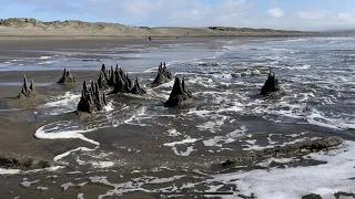 Sandcastle tsunami