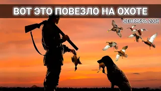 УТКИ со ВСЕХ СТОРОН на ОХОТЕ с СОБАКОЙ. Слабонервным НЕ СМОТРЕТЬ.