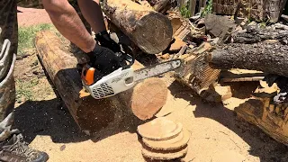 Testing a Stihl MS193t after cleaning and little muffler mod.