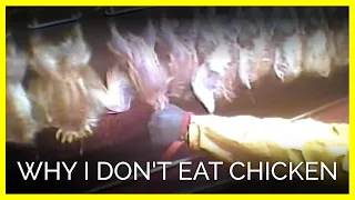 Why I Don't Eat Chicken