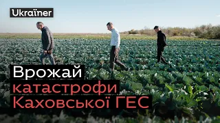 Врятувати поля після підриву Каховської ГЕС. Фермерство під час війни • Ukraїner