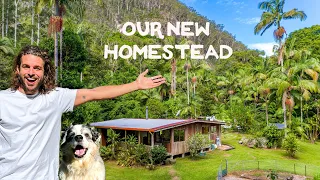 A different dream. FULL TOUR of my 5 acre property in the rainforest (& future plans)
