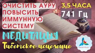 741 Гц ֍ очистить ауру ֍ Повысить иммунную систему ֍ медитация ֍ MANTRA ֍ Тибетское исцеление  ֍