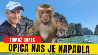 OPICA je iznenada NAPADLA človeka! 🧐 Vsi smo se prestrašili. - Otok Jamesa Bonda 😀❤️