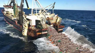 Amazing Commercial Cod Fishing With Big Net - Harvest & Freeze Hundreds of Tons of Fish on The Boat