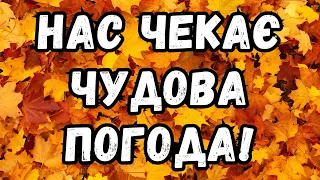 ПРИЄМНО! Комфортні +28 без опадів: синоптики дали прогноз погоди на вівторок, 12 вересня