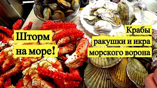 Шторм на море! Крабы, ракушки и икра морского ворона // Storm on the sea! (Eng Subs)