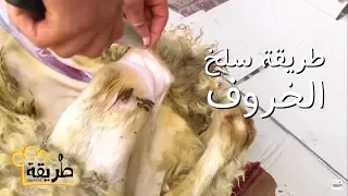 طريقة سلخ الخروف السوري وتقطيعه .. اتحداك تطلع غلطة