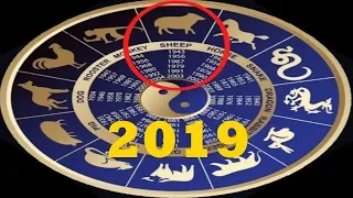 ГОРОСКОП НА 2019 ГОД ДЛЯ КОЗЫ (ОВЦЫ)