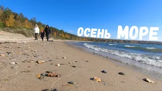 Обское море Осень Качели