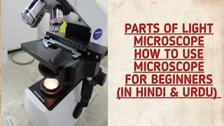 Light Microscope.Parts Of light microscope.How to use microscope?Guidelines for beginners.(In Urdu)