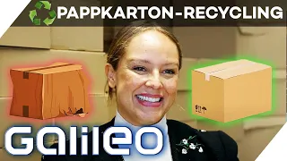 Aus Einweg mach Mehrweg! So funktioniert Pappkarton-Recycling | Galileo | ProSieben