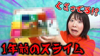 【閲覧注意】スライムが腐ってる!?１年以上放置したスライムパレットがやばすぎた…【slime】