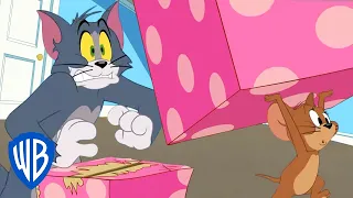 Tom y Jerry en Latino | La caja misteriosa | WB Kids