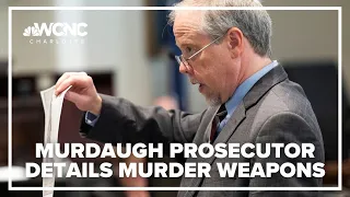 Alex Murdaugh used family weapons to kill wife & son: Prosecutor