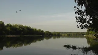 Натягивание лука (самбхави мудра).  "Открытие третьего глаза - Йогарадж Сахаров"