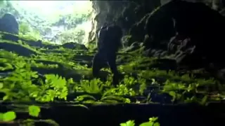 SonDoongCave:   Amazing forest inside Son Doong Cave   BBC How To Grow A Planet