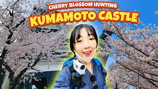 🌸CHERRY BLOSSOM TRIP in JAPAN | KUMAMOTO DAY - 2