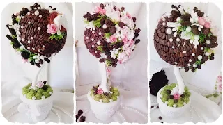 Coffee topiary tree handmade with flowers & cones - master-class #10 from Alena Tikhonova