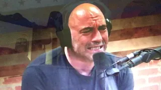 Joe rogan an herb dean on khabib talking during fights