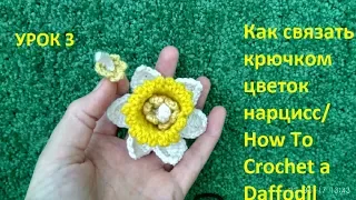 Как вязать крючком цветок нарцисс/ How To Crochet a Daffodil/ Вязаные цветы/ Crochet and knitting