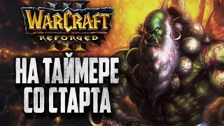 НА ТАЙМЕРЕ СО СТАРТА ИГРЫ: 2на2 Warcraft 3 Reforged