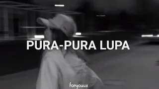 PURA PURA LUPA (Tiktok Version)