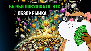 Bitcoin готовится брить лонгистов. На каких альтах сейчас заработать? Обзор рынка