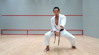 Nijushiho kata, pointers that you need to work on and application perspective.