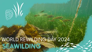 World Rewilding Day 2024