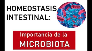 Influencia de la MICROBIOTA en la HOMEOSTASIS INTESTINAL para una BUENA MICRONUTRICIÓN