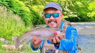 Trout Fishing North Toe & Powdermill