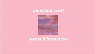 penelope scott - sweet hibiscus tea clean